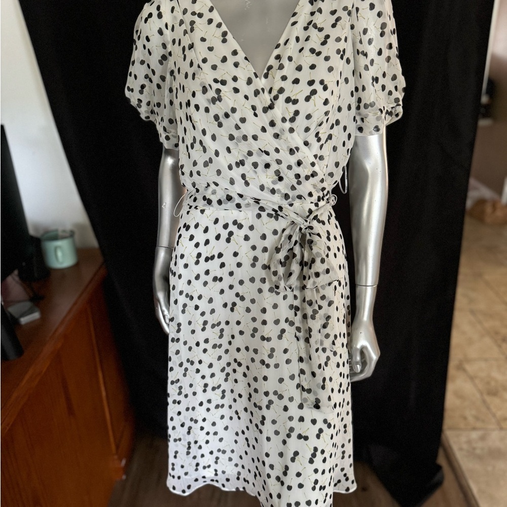 DKNY Sheer Lined Dress NWT